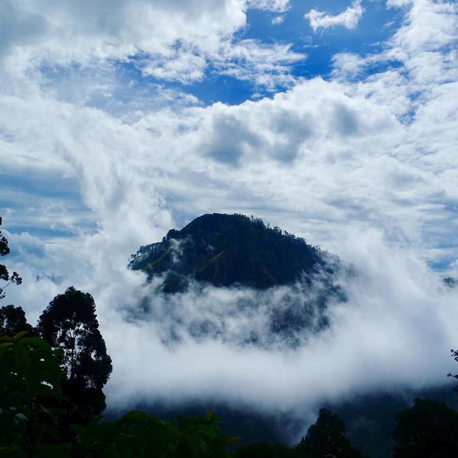 Secret View Homestay Элла Экстерьер фото